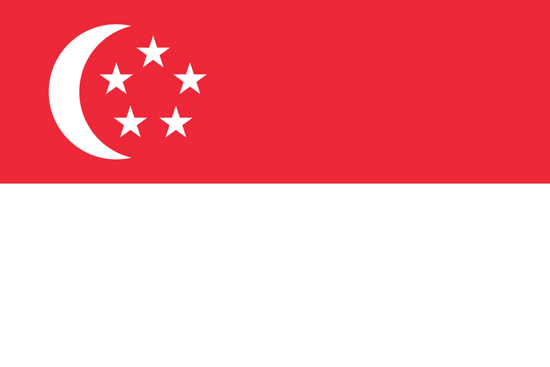 symbol to represent US expat taxes in Singapore